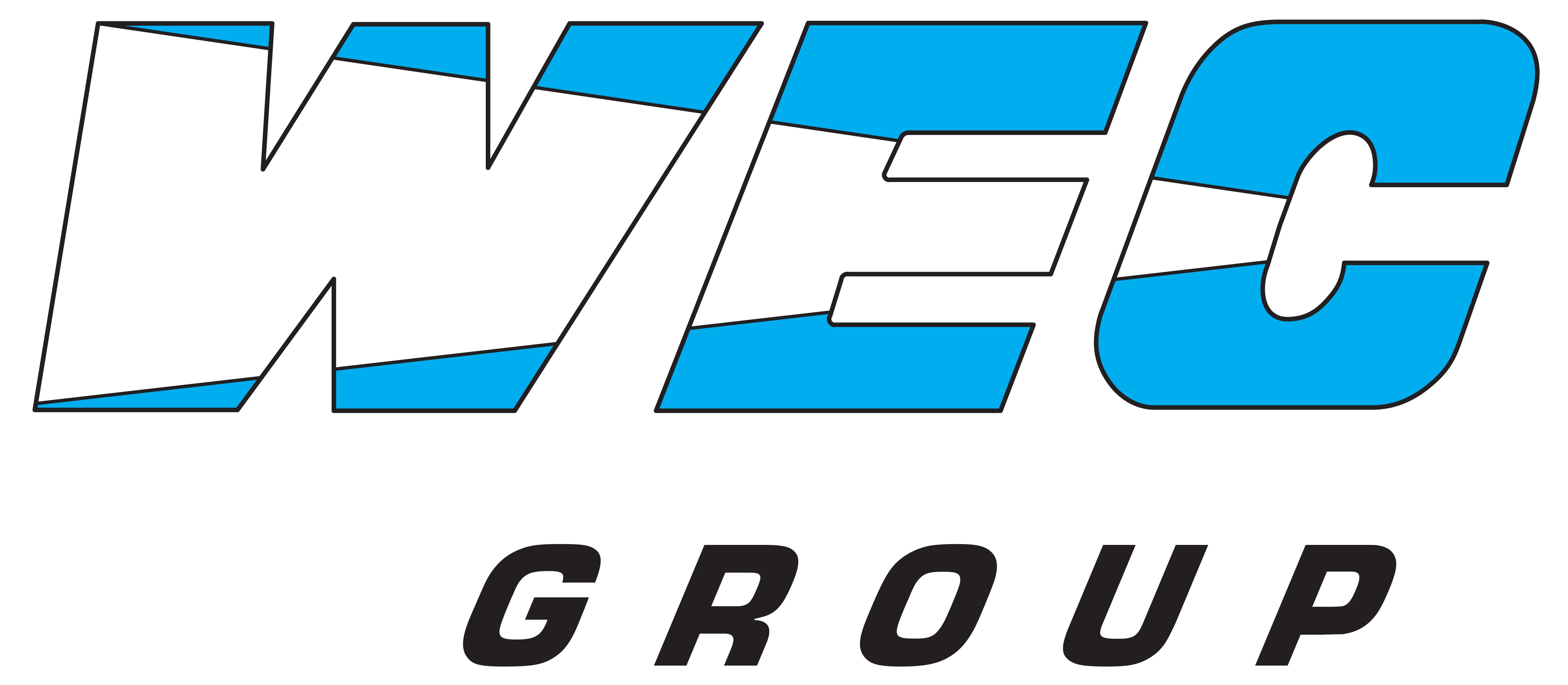 WEC Group Ltd Logo